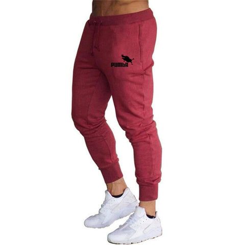 New Spring Autumn Brand Gyms Men Joggers Sweatpants Men's Joggers Trousers Sporting Clothing The High Quality Bodybuilding Pants