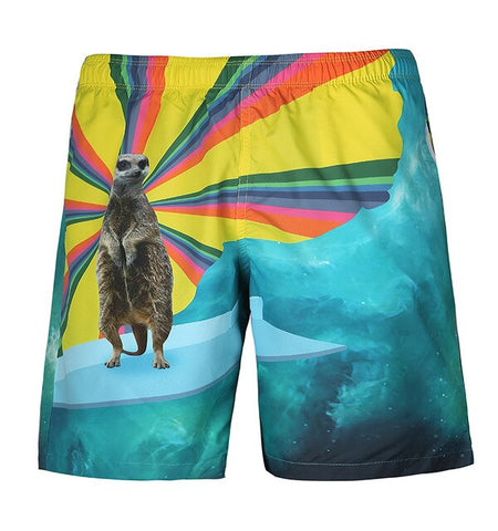 Summer men's board shorts bathing swimsuit Cartoon Bus Funny Casual quick dry beach short Hip Hop sexy liner sungs swimwear mesh