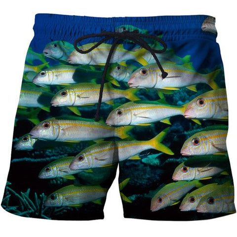 3d Fish Quick Dry Summer Mens Siwmwear Mens Beach Board Shorts Briefs For Men Swim Trunks Swim Shorts Beach Wear size s-6xl