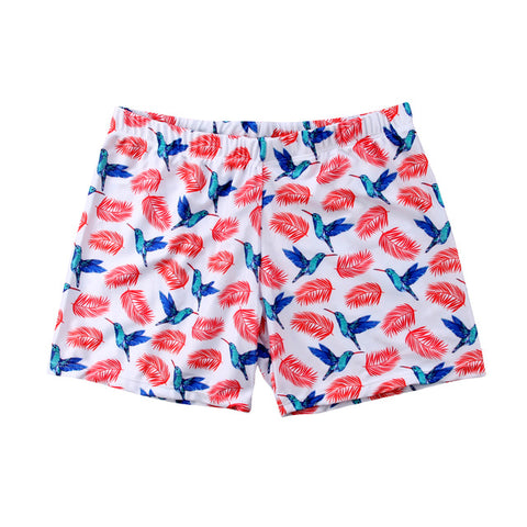 2019 Men's Shorts Beach Wear Shorts Trunks Charm Boxer Briefs Pants Quick Dry pantalonetas hombre playa